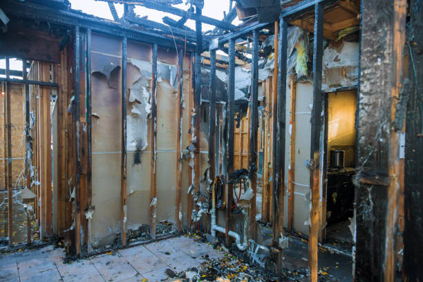 Professional Fire Damage Removal technician working in Boyds, MD