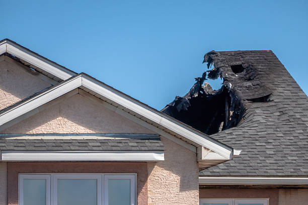 Top rated local Fire Damage Removal specialists in Boyds, MD